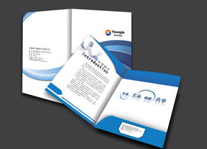 福州鼓樓區創越廣告設計公司 專業設計，塑造品牌形象